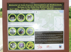 Schautafel Strelca.jpg