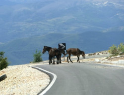 strasse zum Tomorri.jpg