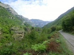 cemi1.jpg (182.56 KiB) 16138 mal betrachtet cemi1.jpg