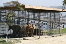 _MG_0537_Bildgröße ändern_Bildgröße ändern.JPG