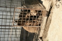 _MG_0529_Bildgröße ändern_Bildgröße ändern.JPG