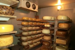 Velecik1.jpg (119.9 KiB) 11642 mal betrachtet Velecik1.jpg