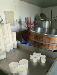 Velecik3.jpg (83.83 KiB) 11642 mal betrachtet Velecik3.jpg