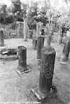 Butrint: Griechische S&auml;ulen