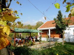 Rruga e Mullirit.jpg