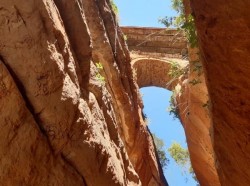 Rätselbrücke Juli20.jpg