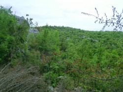 Blick aus dem Hintereingang.jpg