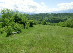 Grab an der ehemaligen Zogu Kulla.jpg