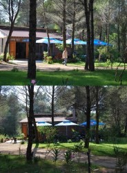 Restorant Te Ruvi Parku.jpg