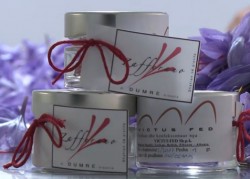 Albannischer Safran.jpg