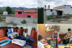 Glikoproduzenten in Permet.jpg