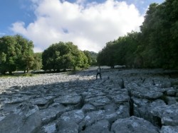 Erstaunliche Spaltenbildung.jpg
