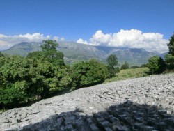 Erstaunliche Spaltenbildung1.jpg