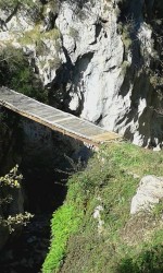 Brücke Februar1.jpg