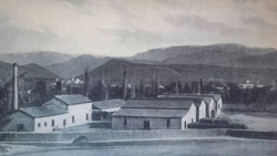 Ölivenöl Fabrik Elbasan.jpg