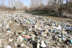 _MG_5877_Bildgröße ändern.JPG