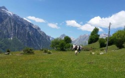 Livadhet e Gjarperit1.jpg