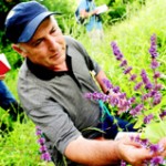 TAP: Route assesment by environmentalists (Â© Bevis Fusha/TAP Project)